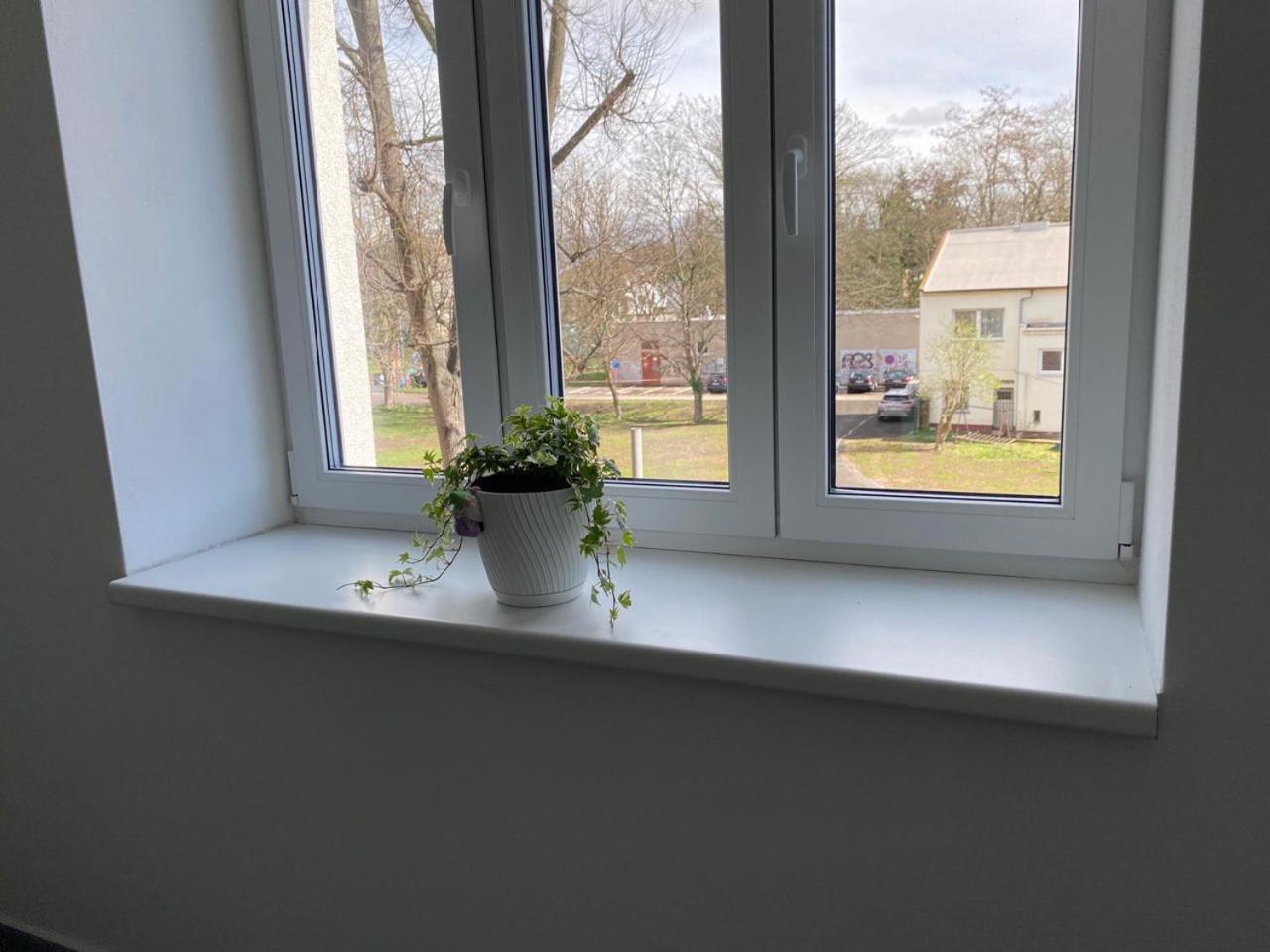 Hradec KrálovéPerla Hradce 401公寓 外观 照片
